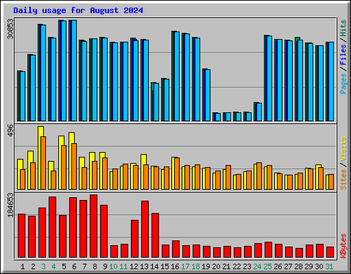 Daily usage for August 2024