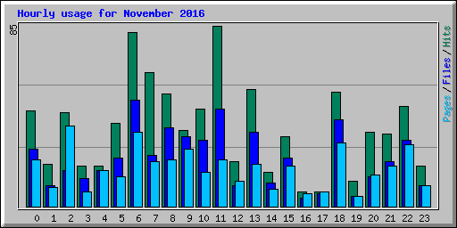 Hourly usage for November 2016