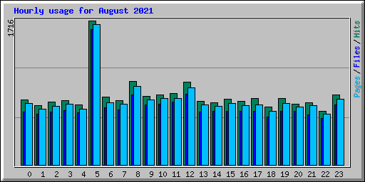 Hourly usage for August 2021