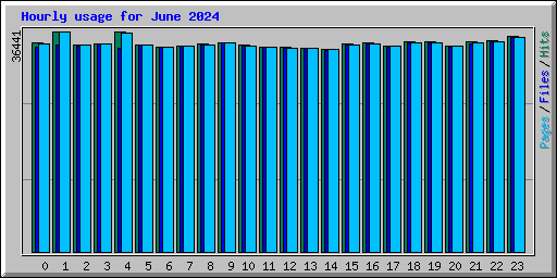 Hourly usage for June 2024