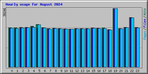 Hourly usage for August 2024