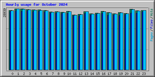 Hourly usage for October 2024