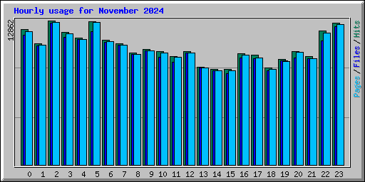 Hourly usage for November 2024