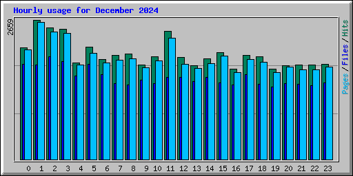 Hourly usage for December 2024