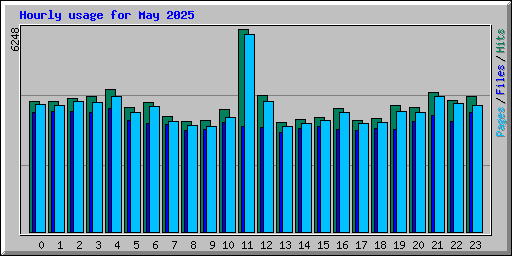 Hourly usage for May 2025