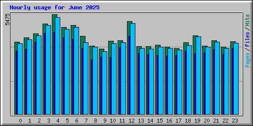 Hourly usage for June 2025