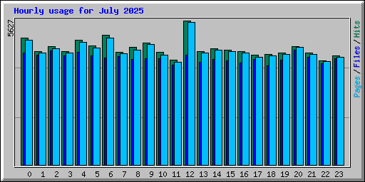 Hourly usage for July 2025