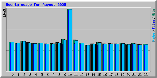 Hourly usage for August 2025