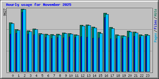 Hourly usage for November 2025