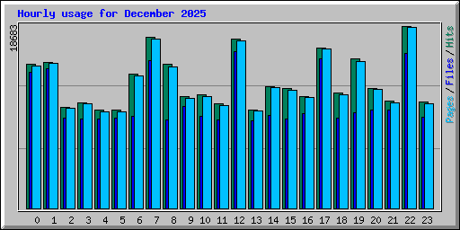 Hourly usage for December 2025