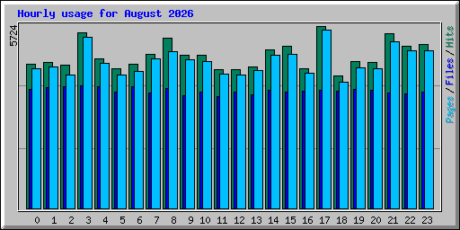Hourly usage for August 2026
